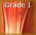 Grade 1