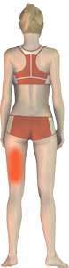 Hamstring Injury Hamstring Injury