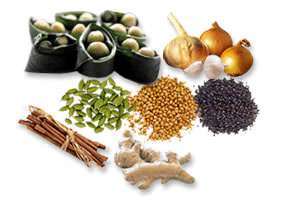 Chinese Herbs Image